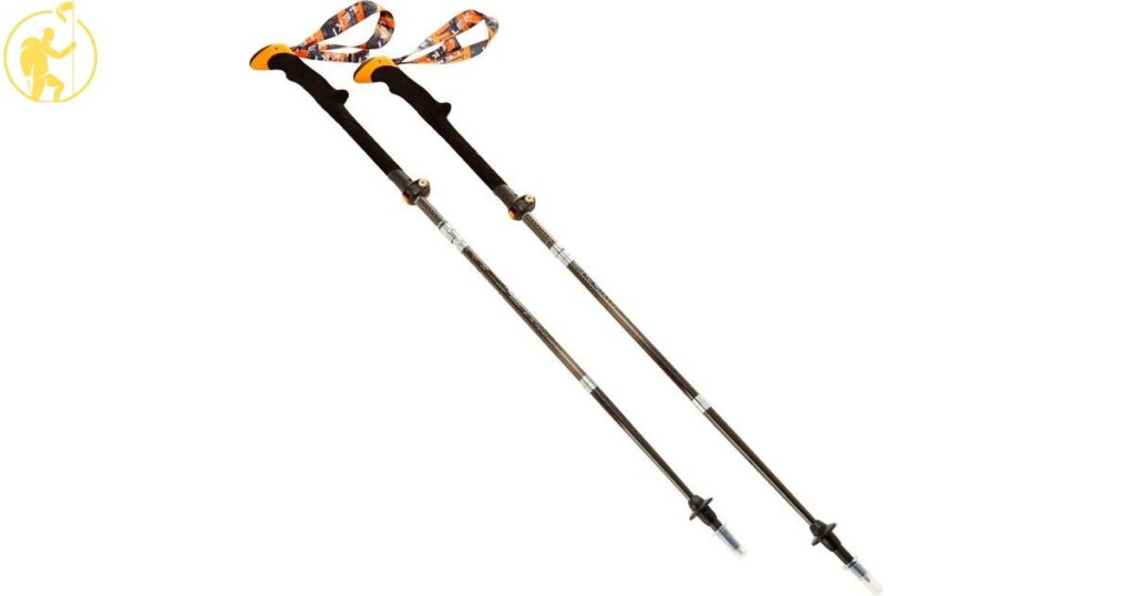 Collapsible Walking Sticks For Travel
