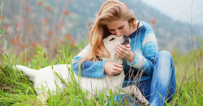 What to Do When Your Dog Buries Their Head in You?