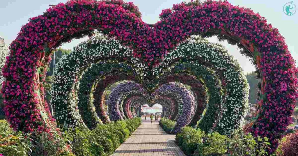 Enchanting Dubai Miracle Garden