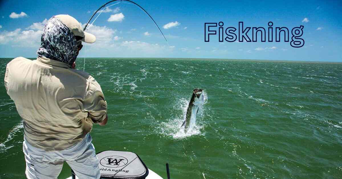 Fiskning: Sustainability And Tradition In Fishing